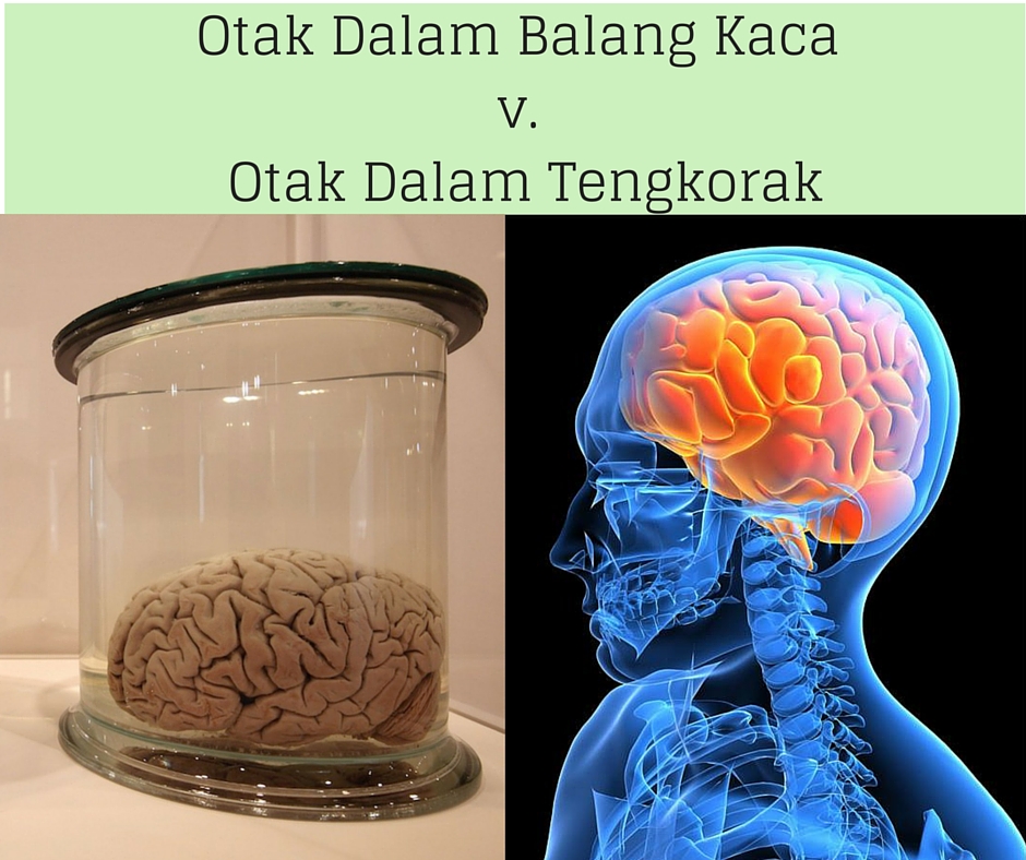Otak Dalam Balang Kaca v. Otak Dalam Tengkorak (1)